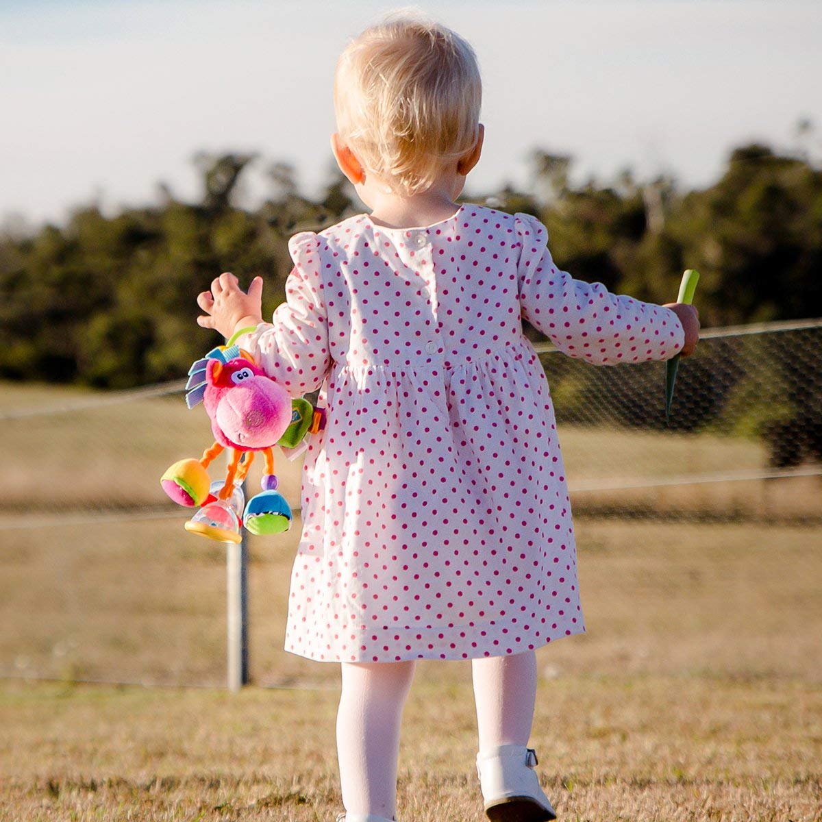 Playgro Activity Rattle Horse, Learning Toy, From 3 Months, BPAfree