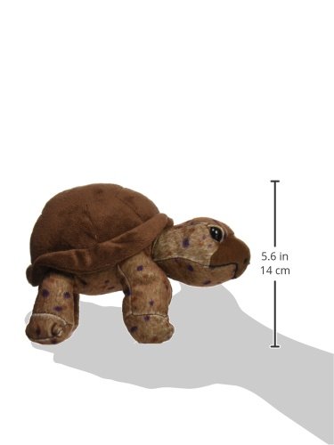 tortoise cuddly toy